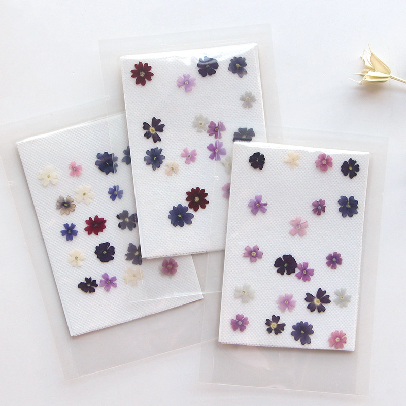 40pcs/lot,Mini Beauty Cherry p - Pressed Flower Frame ulasan dan harga