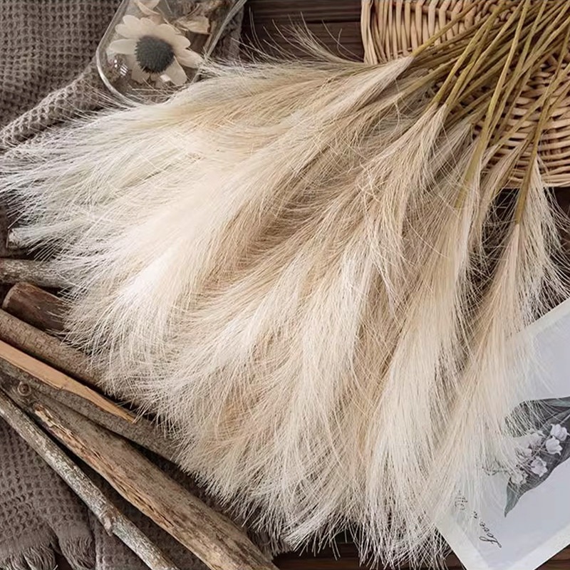 5PCS/set Artificial Flowers Pa - Pampas Grass Decor ulasan dan harga