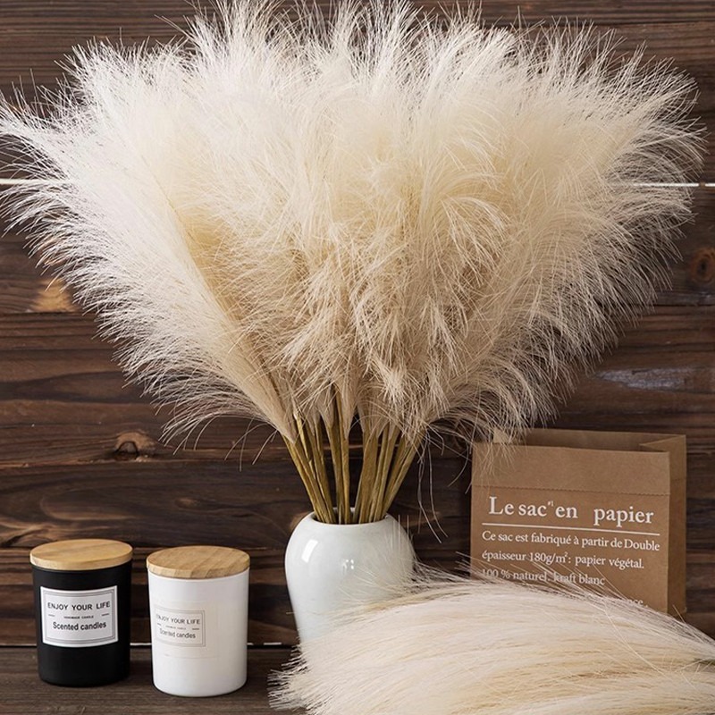 5PCS/set Artificial Flowers Pa - Pampas Grass Decor ulasan dan harga