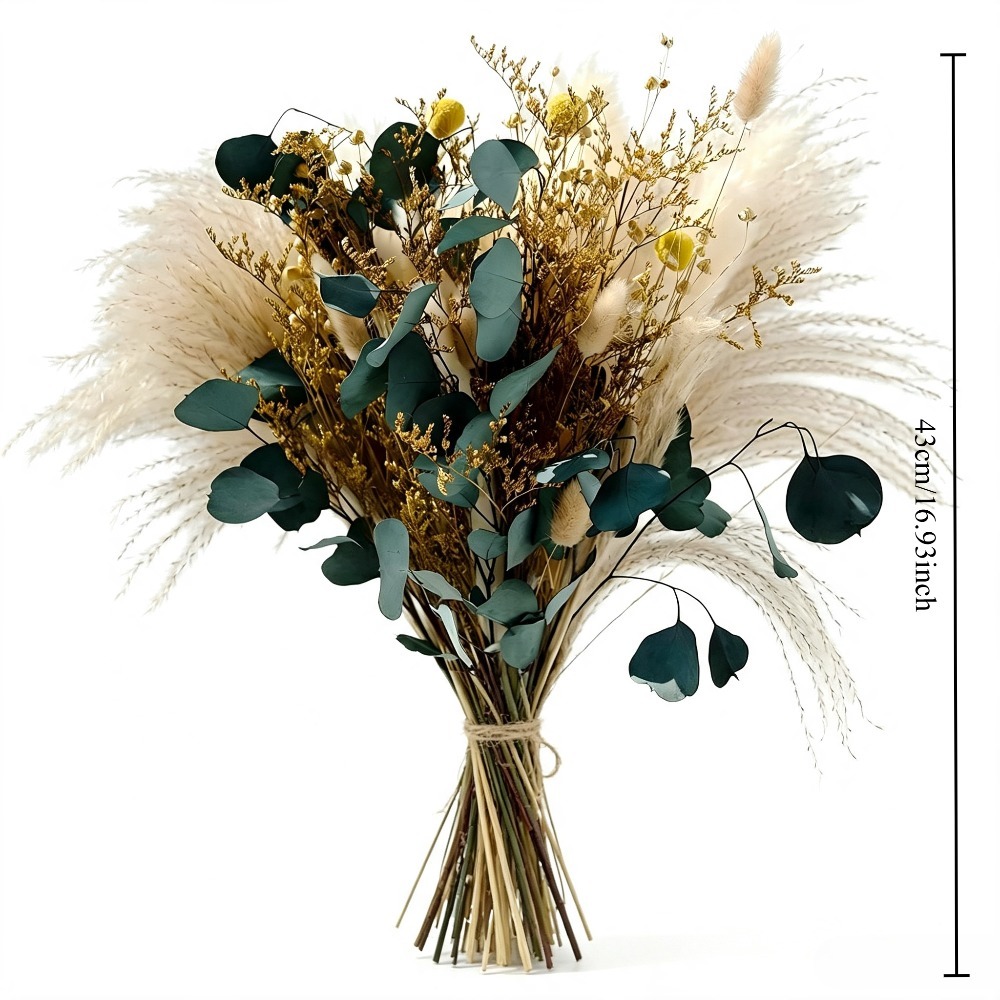 Natural Dried Pampas Grass Bou - Pampas Grass Decor ulasan dan harga