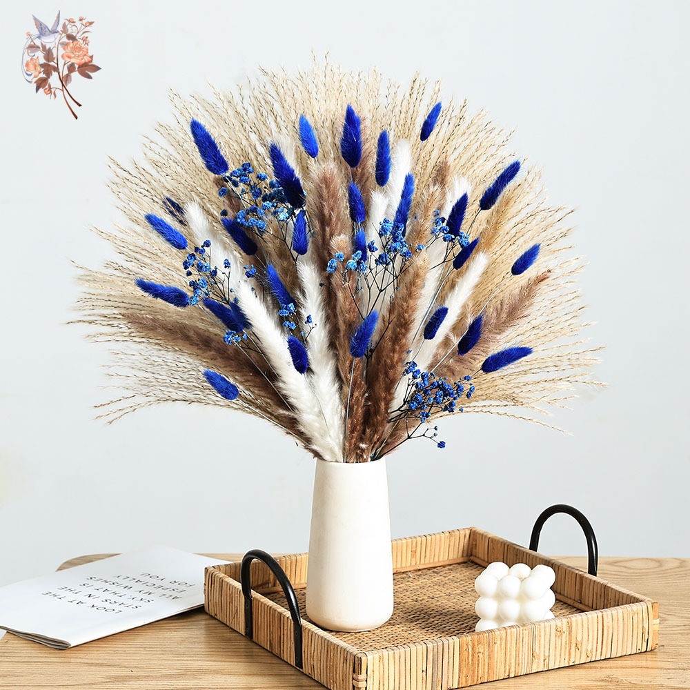 70 Stem Blue Fluffly Rabbit Ta - Pampas Grass Decor ulasan dan harga