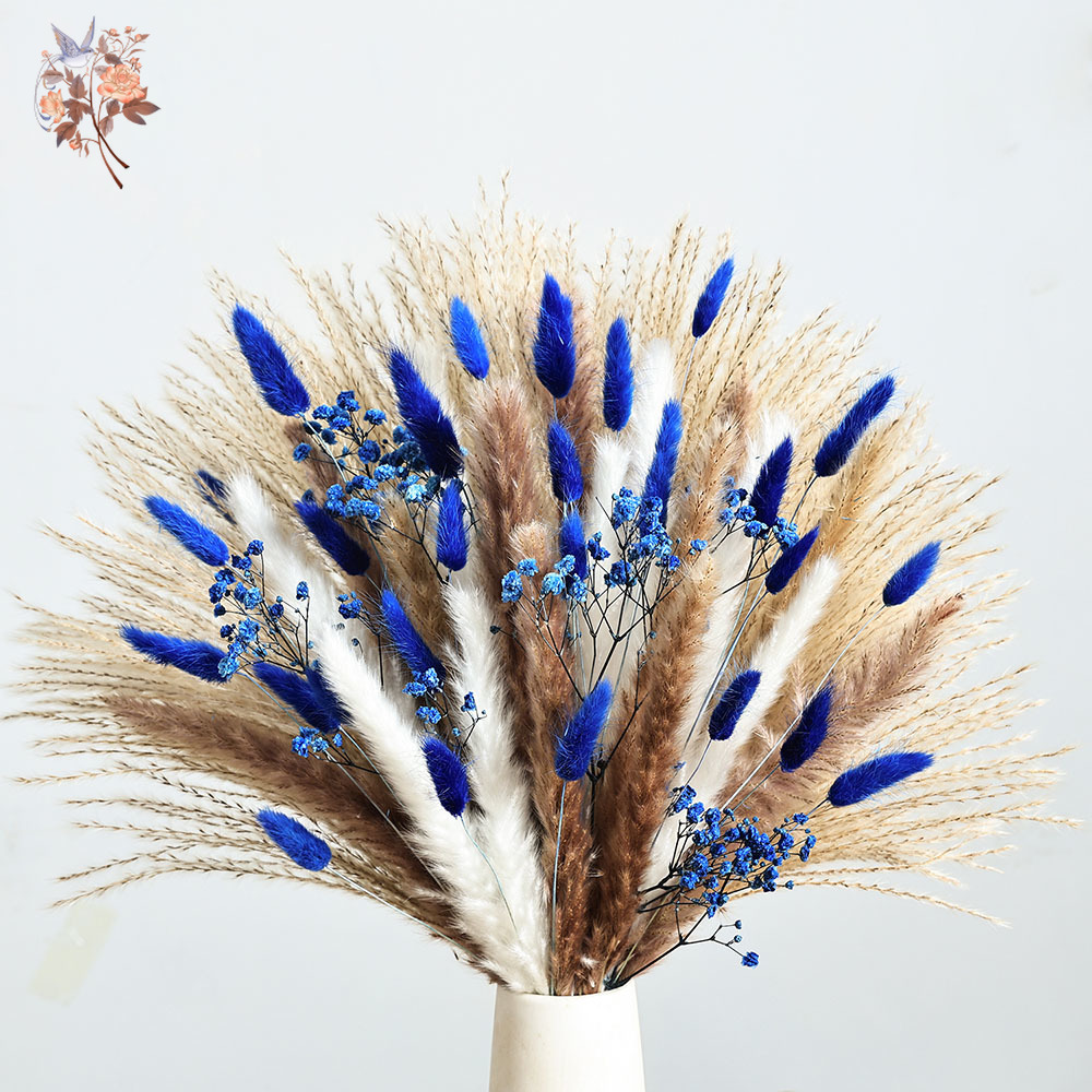 70 Stem Blue Fluffly Rabbit Ta - Pampas Grass Decor ulasan dan harga