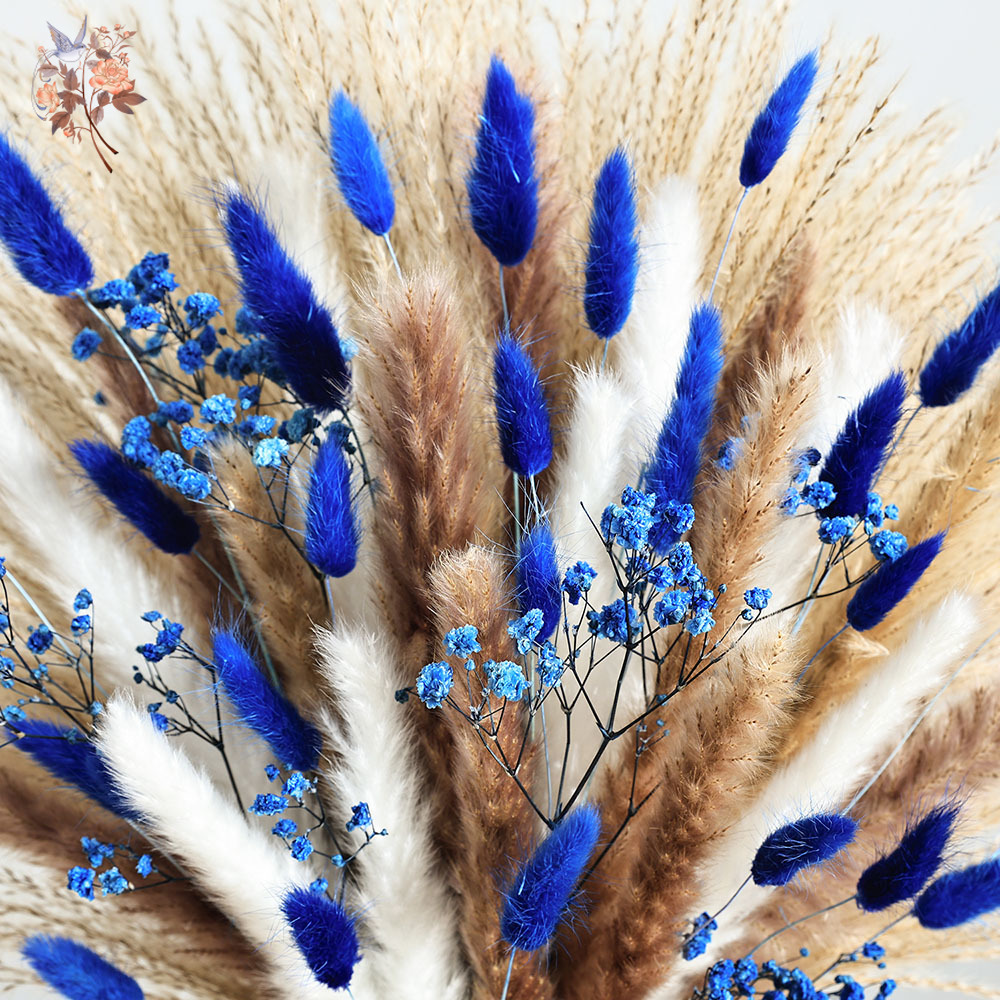 70 Stem Blue Fluffly Rabbit Ta - Pampas Grass Decor ulasan dan harga