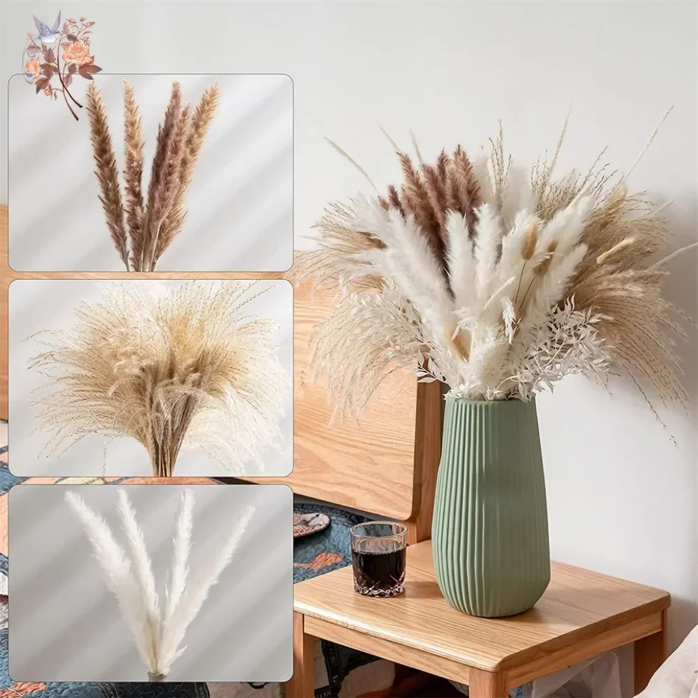 88pcs Natural Fluffy Dried Pam - Pampas Grass Decor ulasan dan harga