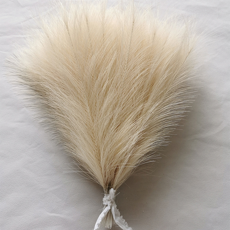 10/20pcs Simulated Reed Feathe - Pampas Grass Decor ulasan dan harga