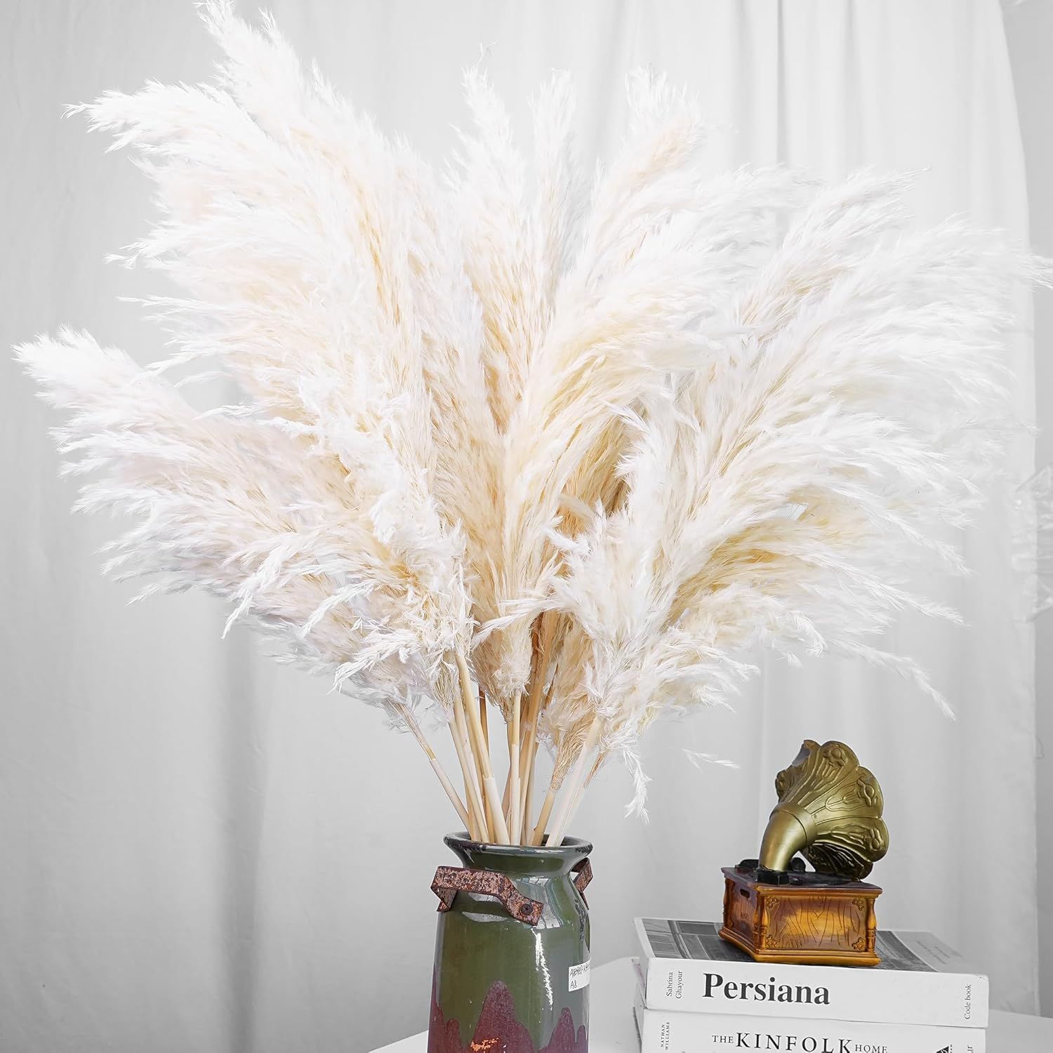 30PCS White Pampas Grass for H - Pampas Grass Decor ulasan dan harga