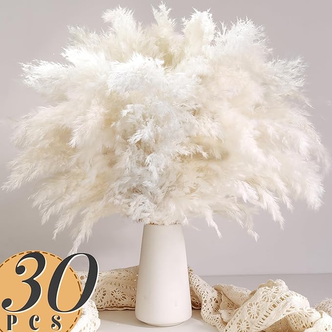 30PCS White Pampas Grass for H - Pampas Grass Decor ulasan dan harga