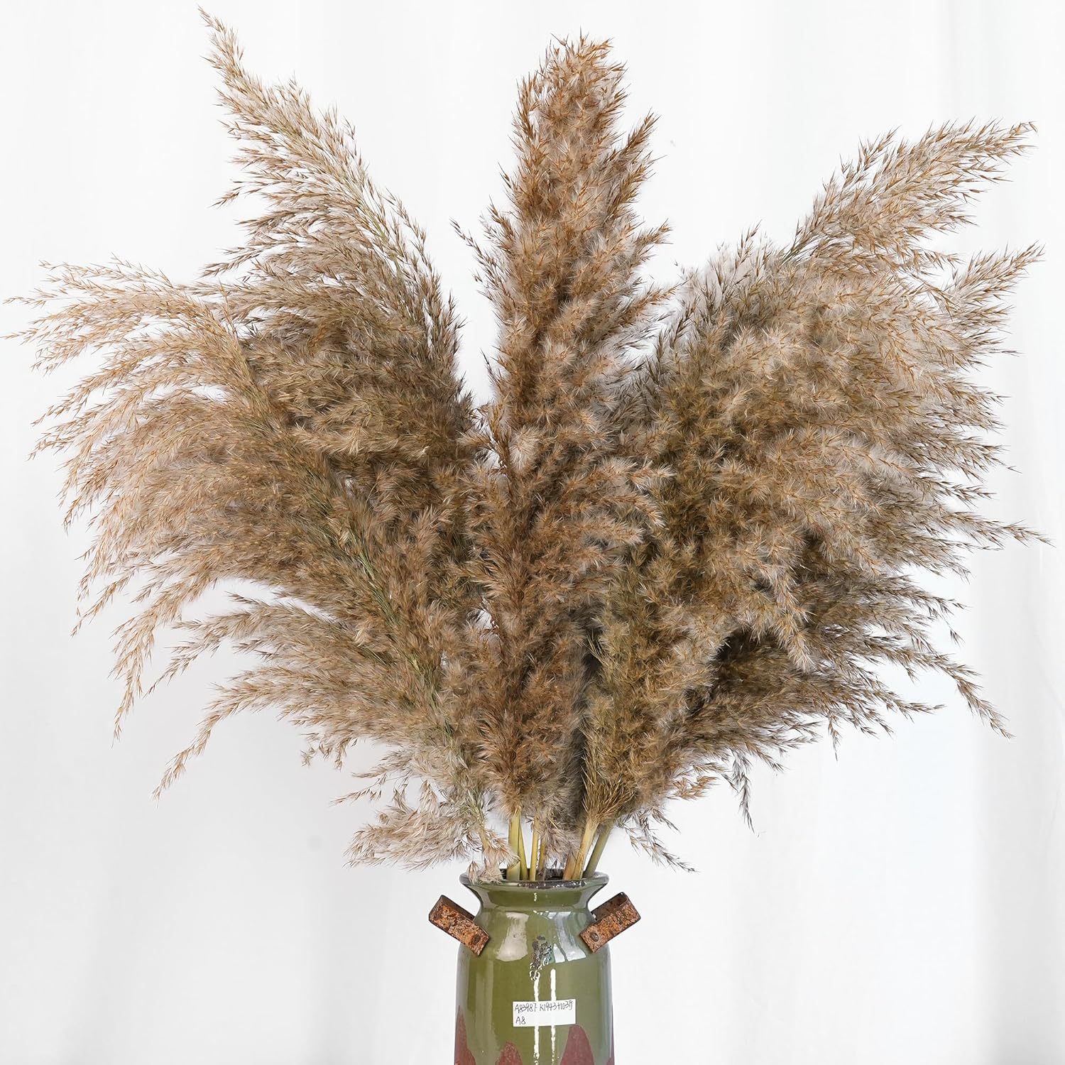 30PCS White Pampas Grass for H - Pampas Grass Decor ulasan dan harga