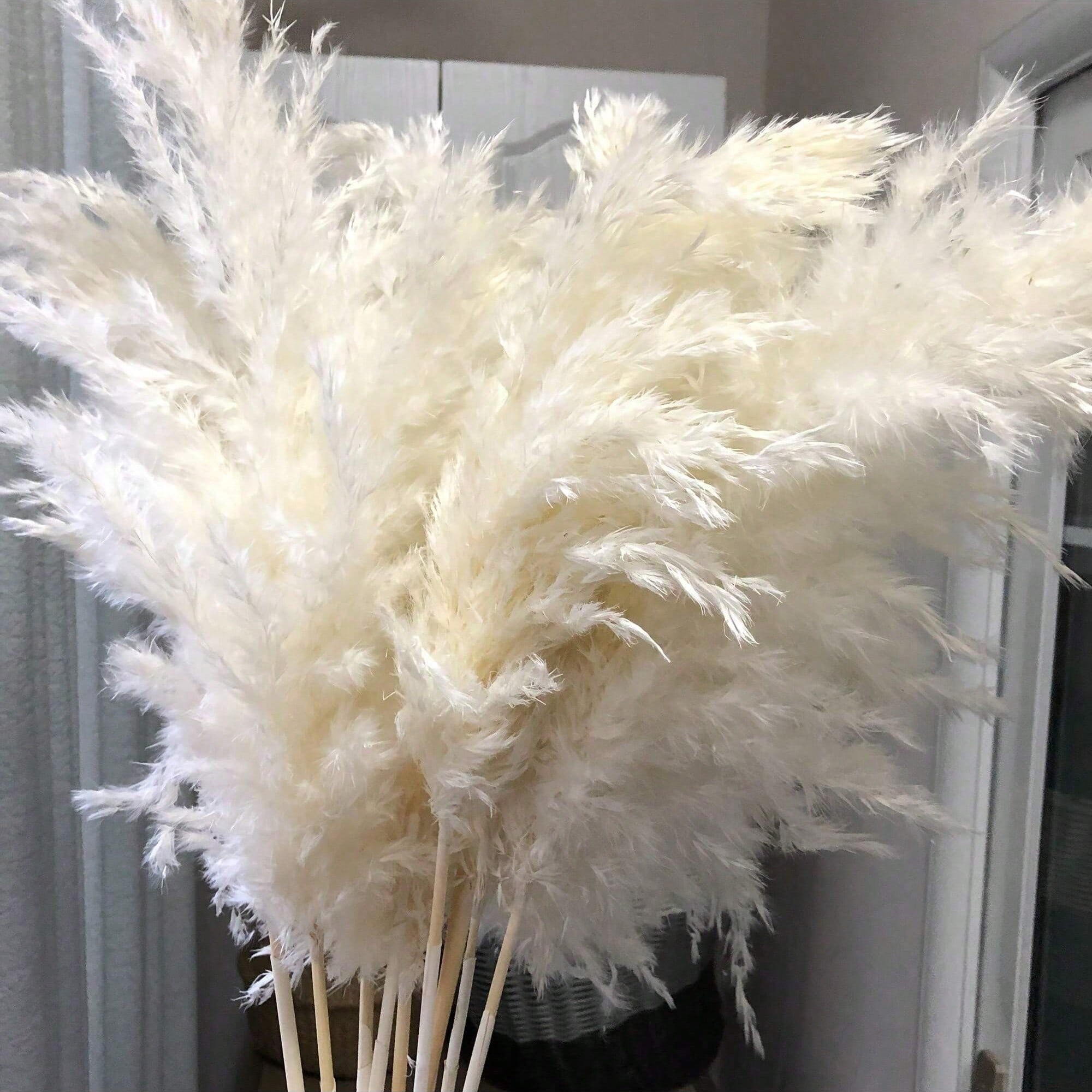 10/20/30pcs White Artificial P - Pampas Grass Decor ulasan dan harga