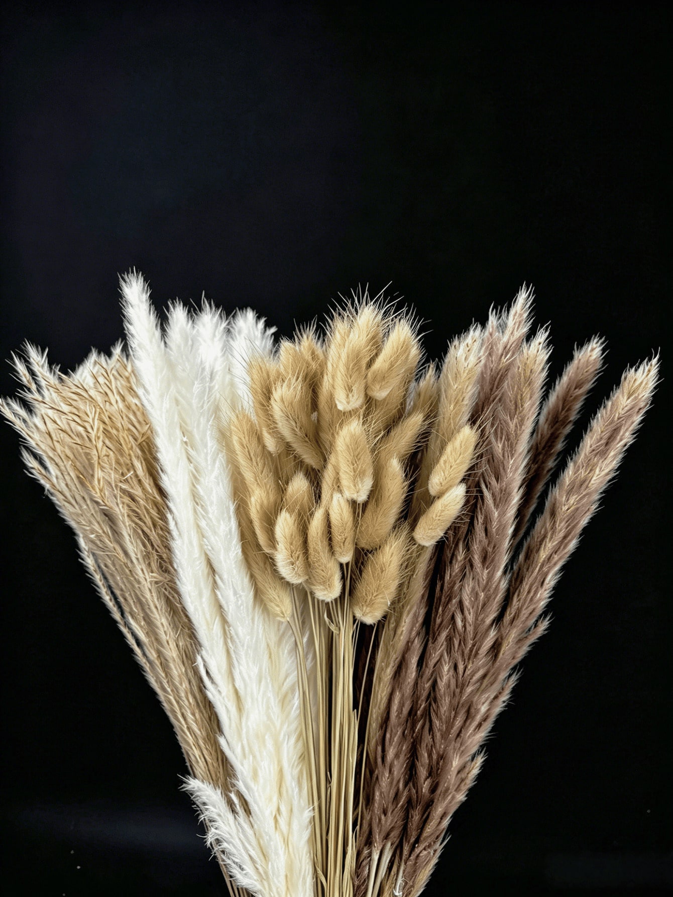 10/20/30pcs White Artificial P - Pampas Grass Decor ulasan dan harga