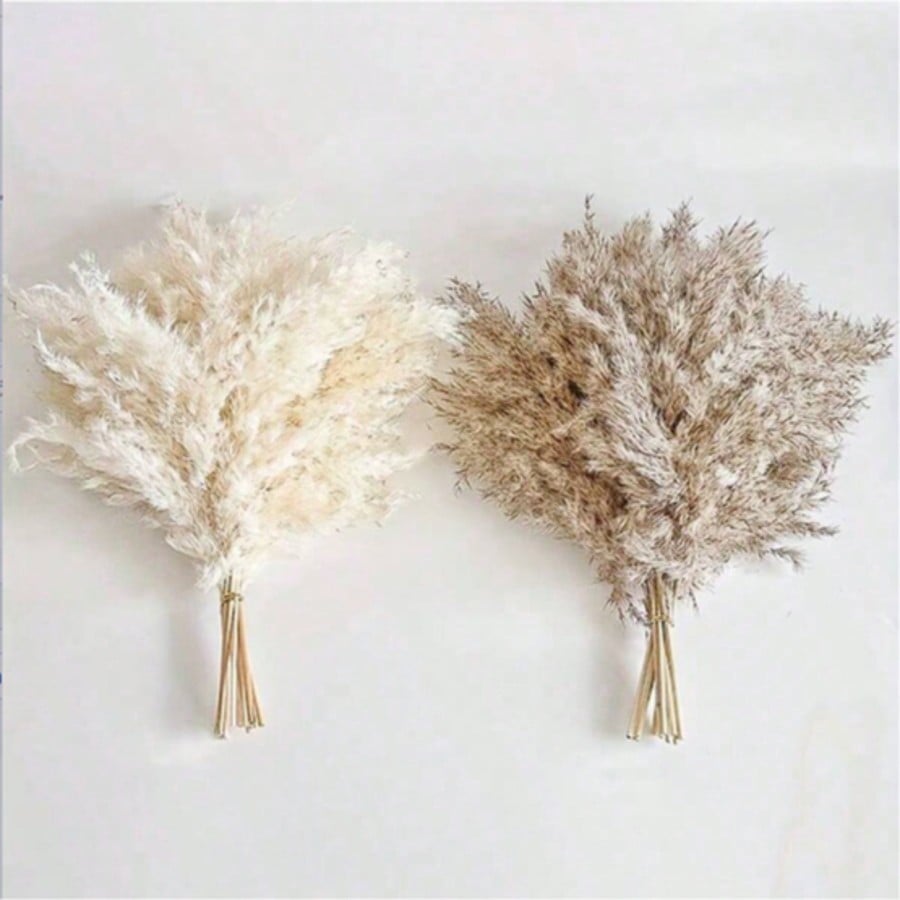 10/20/30pcs White Artificial P - Pampas Grass Decor ulasan dan harga