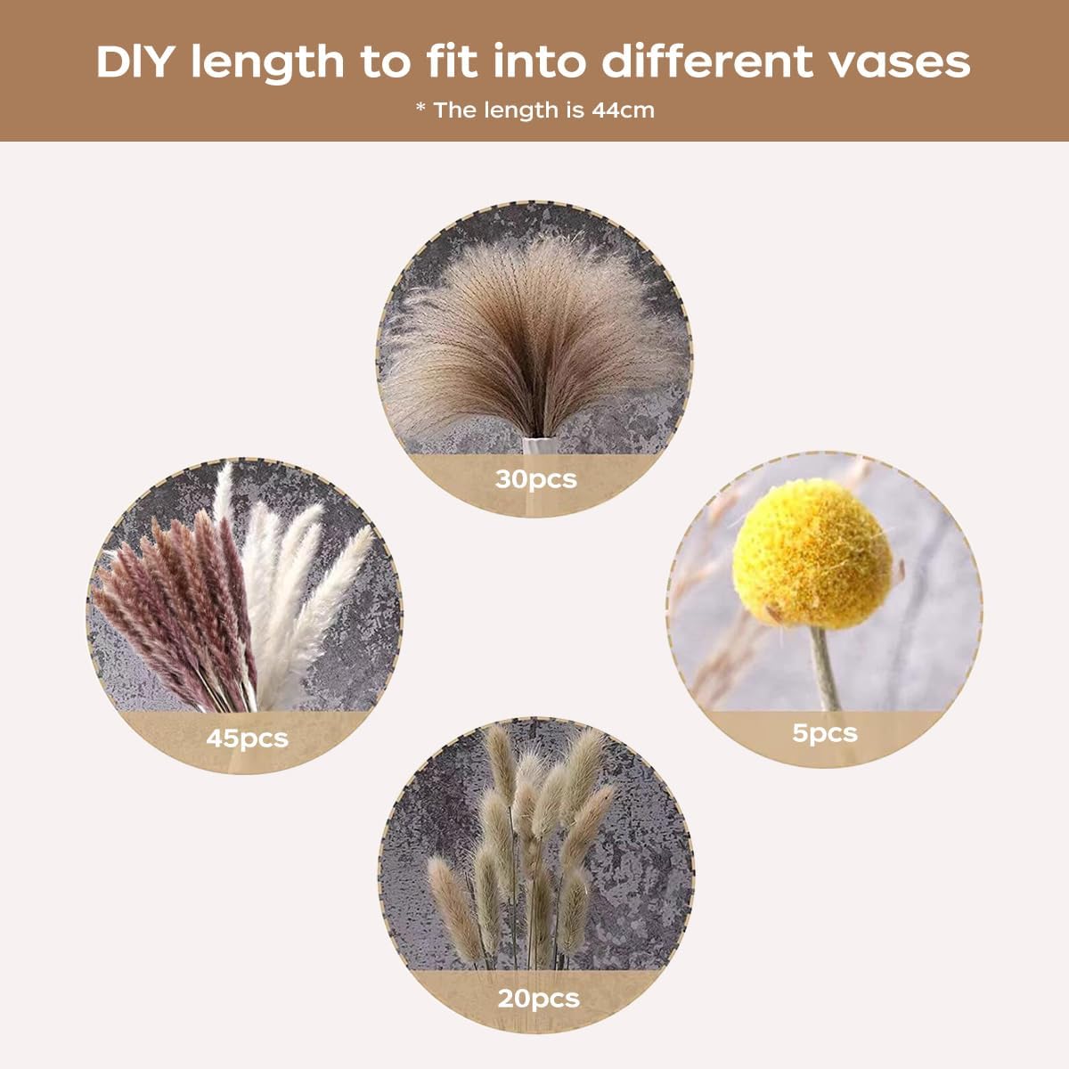 Dried Pampas Grass Bouquet Nat - Pampas Grass Decor ulasan dan harga