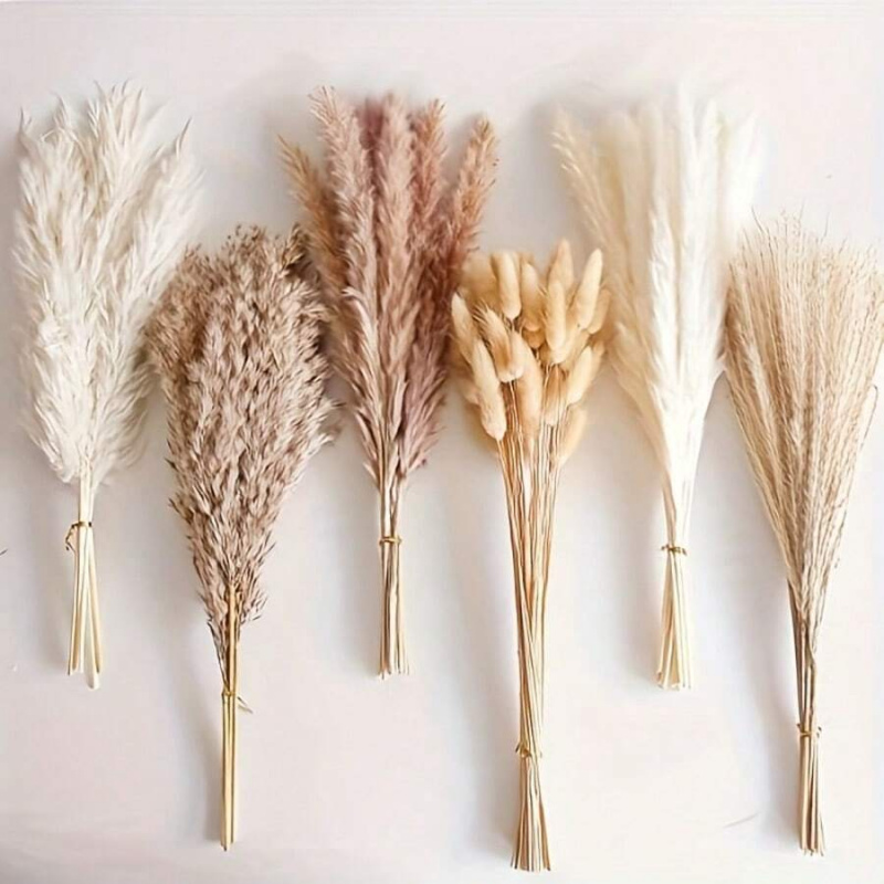 110pcs Dried Pampas Grass Bouq - Pampas Grass Decor ulasan dan harga