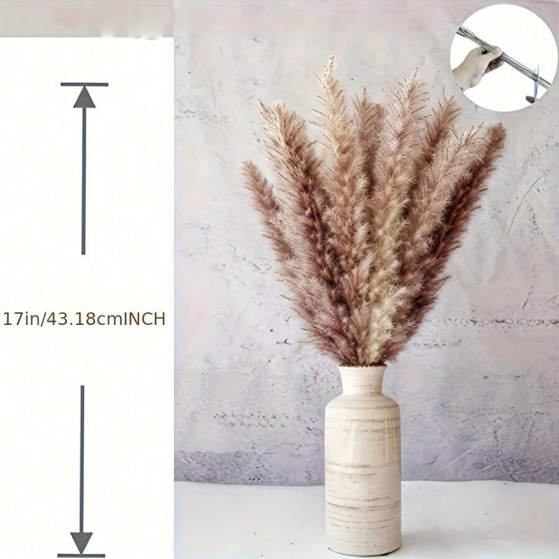 110pcs Dried Pampas Grass Bouq - Pampas Grass Decor ulasan dan harga