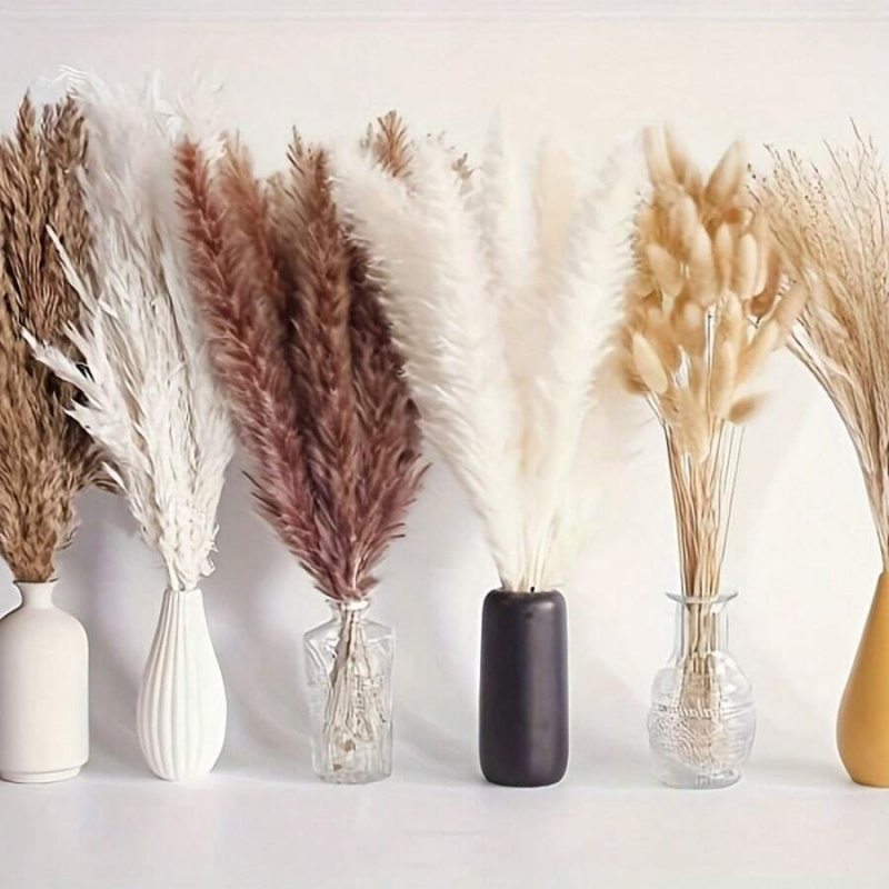 110pcs Dried Pampas Grass Bouq - Pampas Grass Decor ulasan dan harga