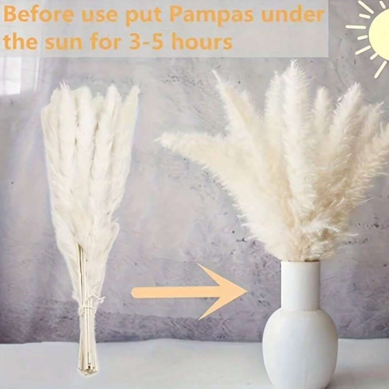 110pcs Dried Pampas Grass Bouq - Pampas Grass Decor ulasan dan harga