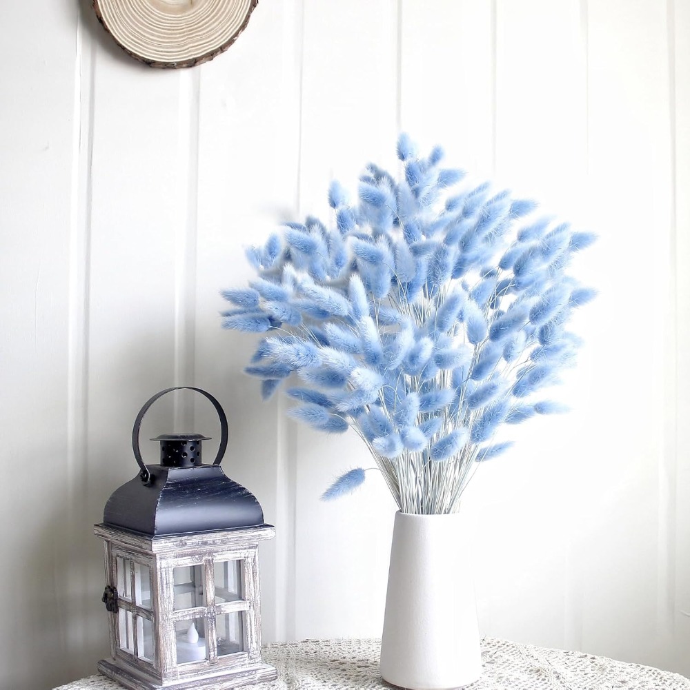100PCS Blue Hare's-tail Grass  - Pampas Grass Decor ulasan dan harga